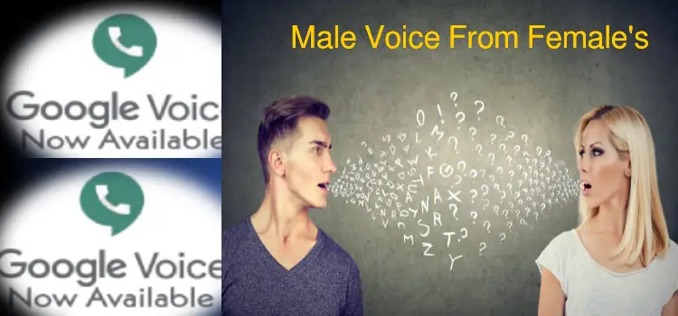 Male Voice From Female's