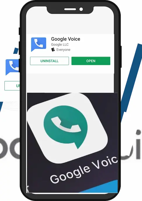 Open Google Voice App