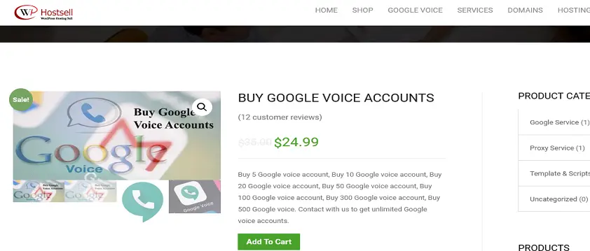 WpHostsell site to buy google voice number